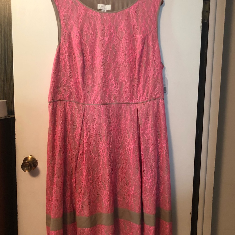 Jessica Simpson Pink & Tan A-Line Plus Size Dress